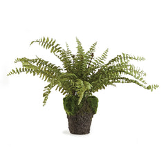 16” drop in fern