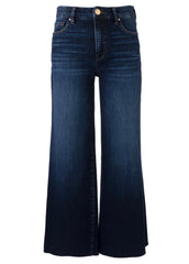 Dark wash meg High rise wide leg jean
