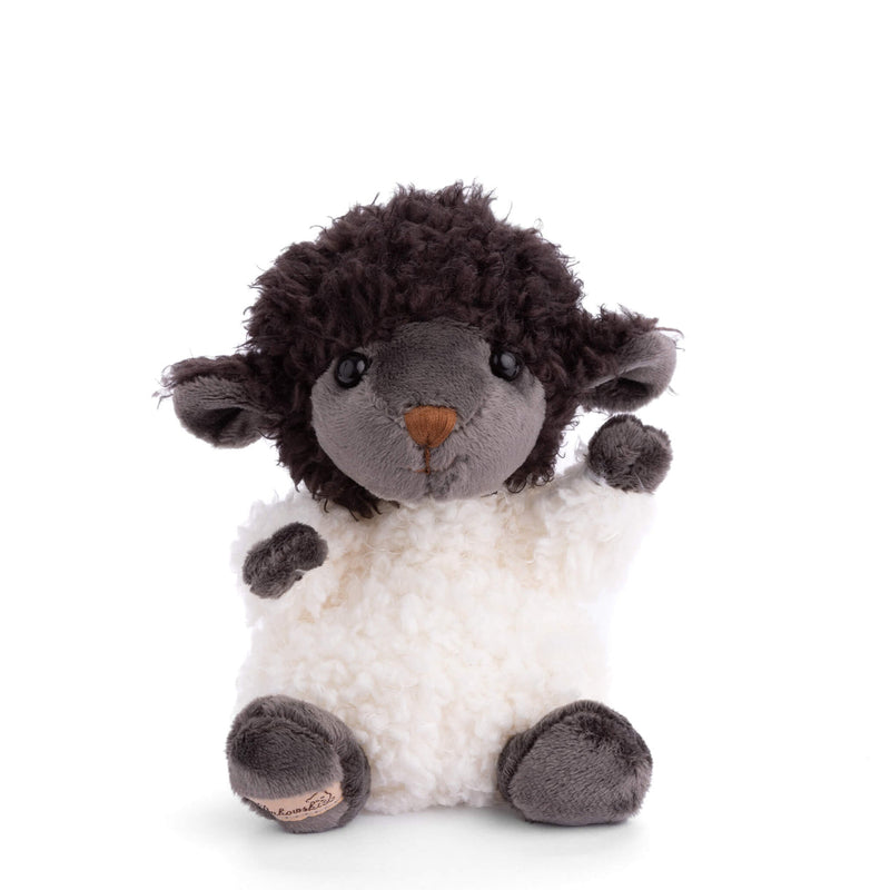 Black sheep