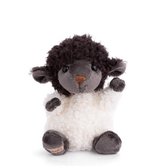 Black sheep