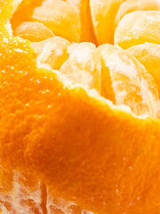 Orange - Pura Home Diffuser Scent Refill