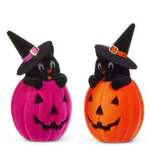 Flocked cat in jack-o-lantern