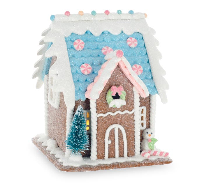 Teal/pink gingerbread house
