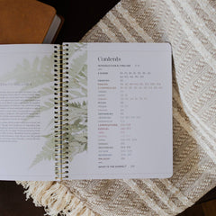 Eden to Eternity | The Chronological Story of Scripture | Volume 3 (Spiral Bound)