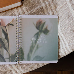 Eden to Eternity | The Chronological Story of Scripture | Volume 3 (Spiral Bound)