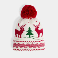 Christmas Beanie
