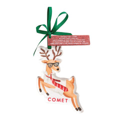 Reindeer Acrylic ornament