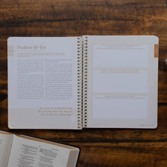 Eden to Eternity | Chronological Bible Study | Volume 2 (Spiral Bound)