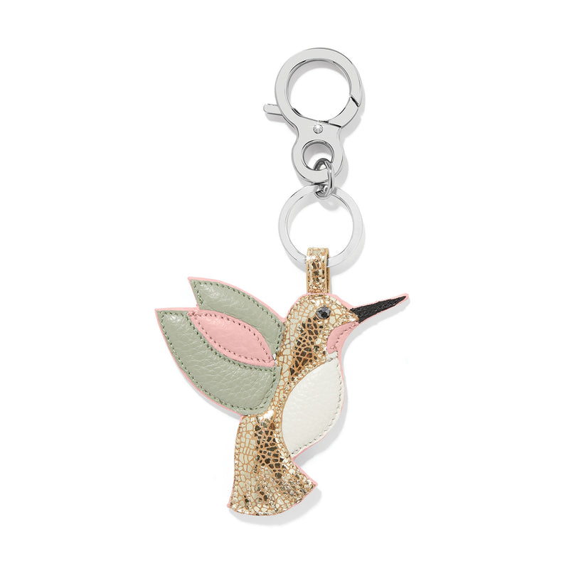 Tulipe hummingbird hb FOB
