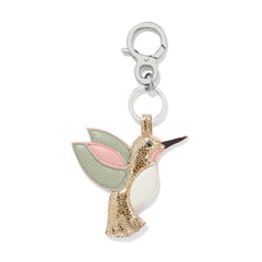 Tulipe hummingbird hb FOB