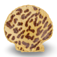 Leopard Shell Jewelry and Trinket Dish