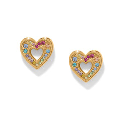 Enchanting Post earrings