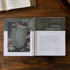 Peaks and Valleys: Learning to Look to Christ in Life's Highs and Lows | A Study on the Life of David