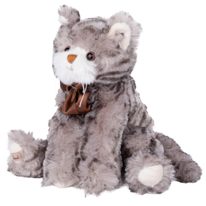 Maciek -Grey cat