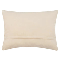 Longhorn and blue bonnets hook pillow