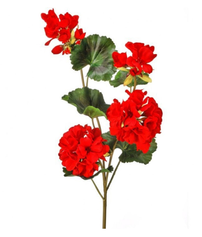 Just cut Geranium spray 26.5”