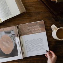 Peaks and Valleys: Learning to Look to Christ in Life's Highs and Lows | A Study on the Life of David