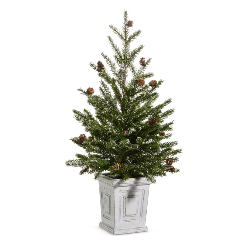 22” Pine Tree in white box