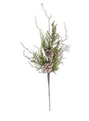27” juniper with with pinecones and blue berries