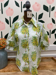 Lemon tree Top