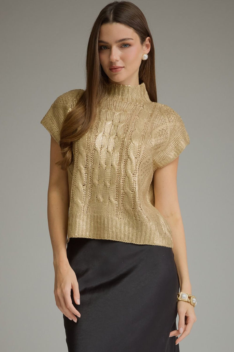 Metallic crop SS sweater