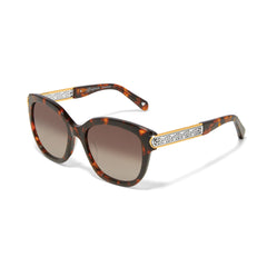 Intrigue amber tortoise sunglasses