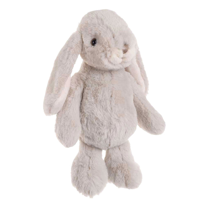Friendly bunny
