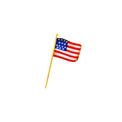 Mini American Flag