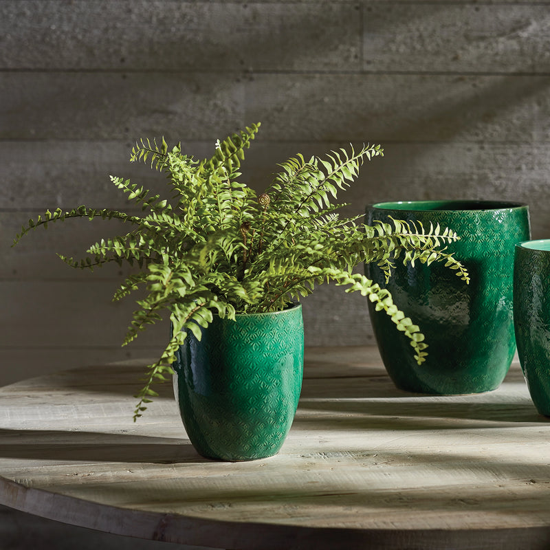 16” drop in fern