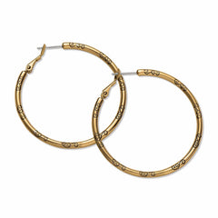 Large Gold hoop charm earrings