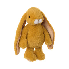 Friendly bunny