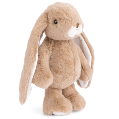 Friendly bunny