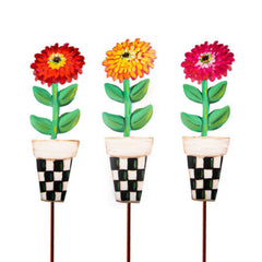 Elegant Zinnia pots
