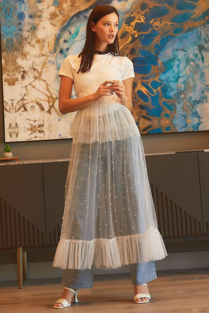 Pearl Ruffle See through Mesh Dress