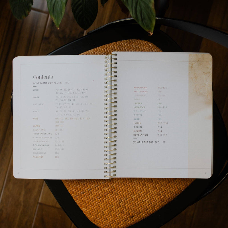 Eden to Eternity | The Chronological Story of Scripture | Volume 4 (Spiral Bound)