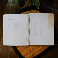 Eden to Eternity | The Chronological Story of Scripture | Volume 4 (Spiral Bound)