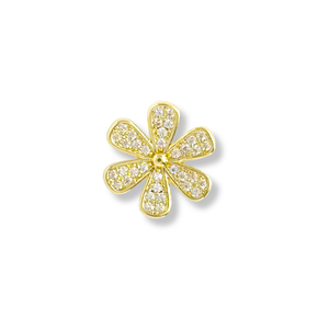 Daisy-CZ
