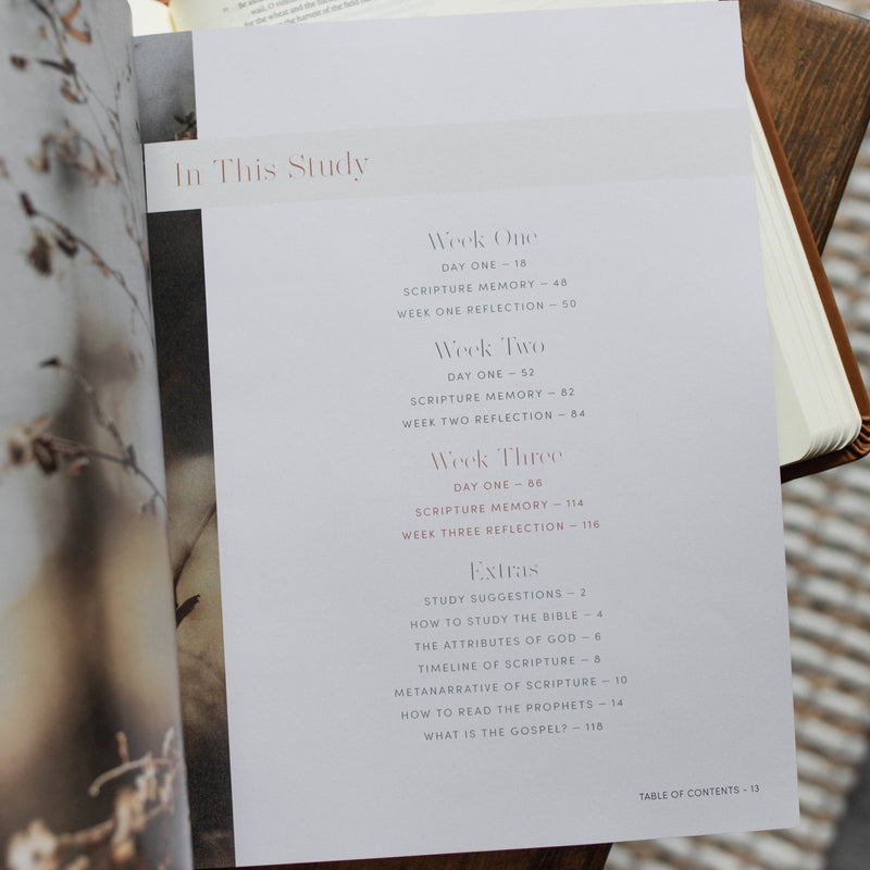 Restored | A Study on the Book of Joel